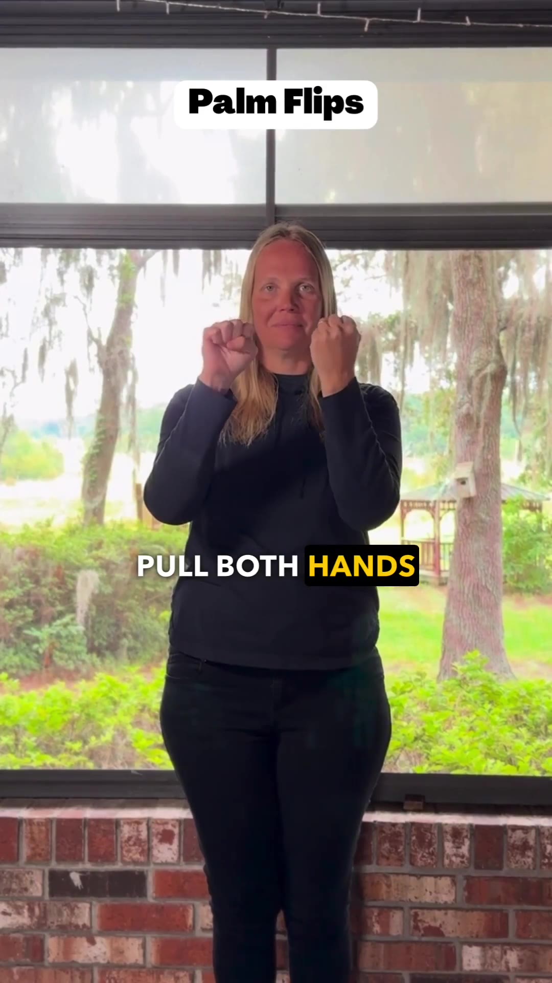 Palm Flips