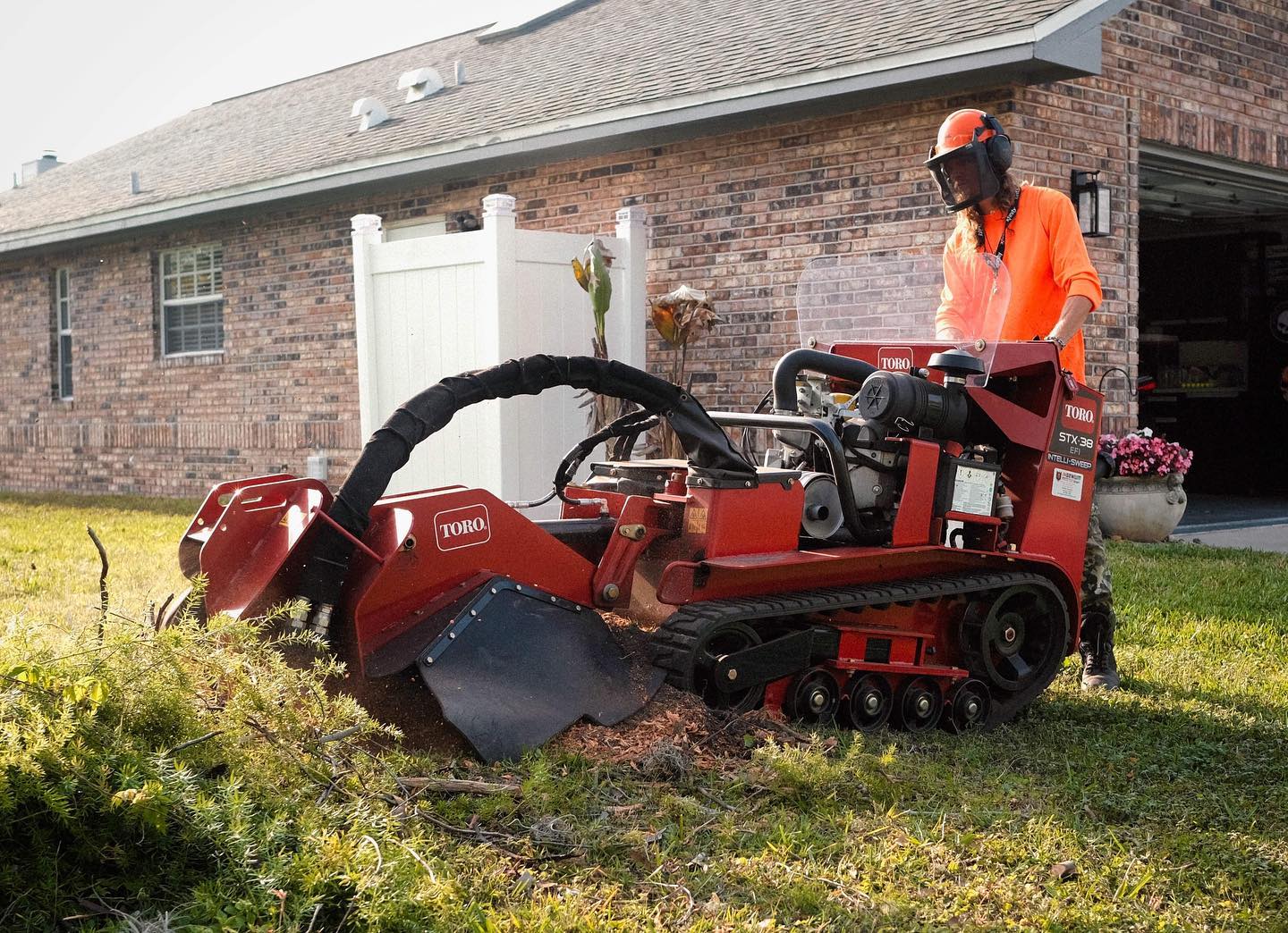 Stump grinding results