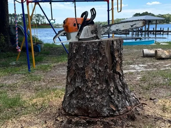 A pine stump beside a lakeside swing set, a chainsaw resting on top of it