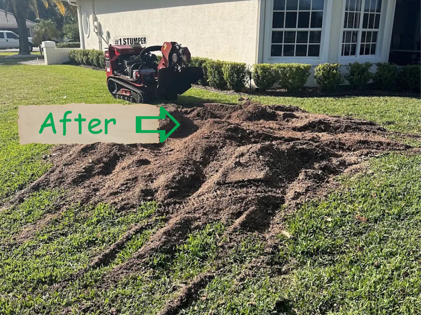 The same yard after grinding, the stump replaced by level ground