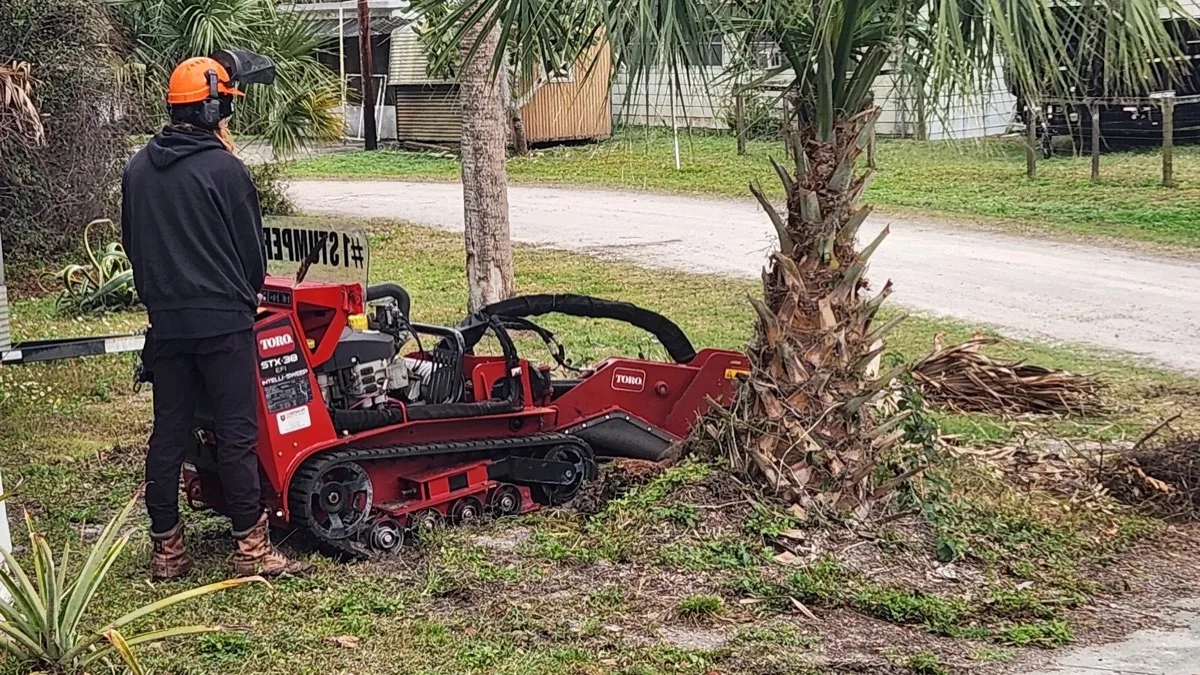 A Stump Grinder Florida operator running the Toro STX-38 into a palm stump beside a residential driveway