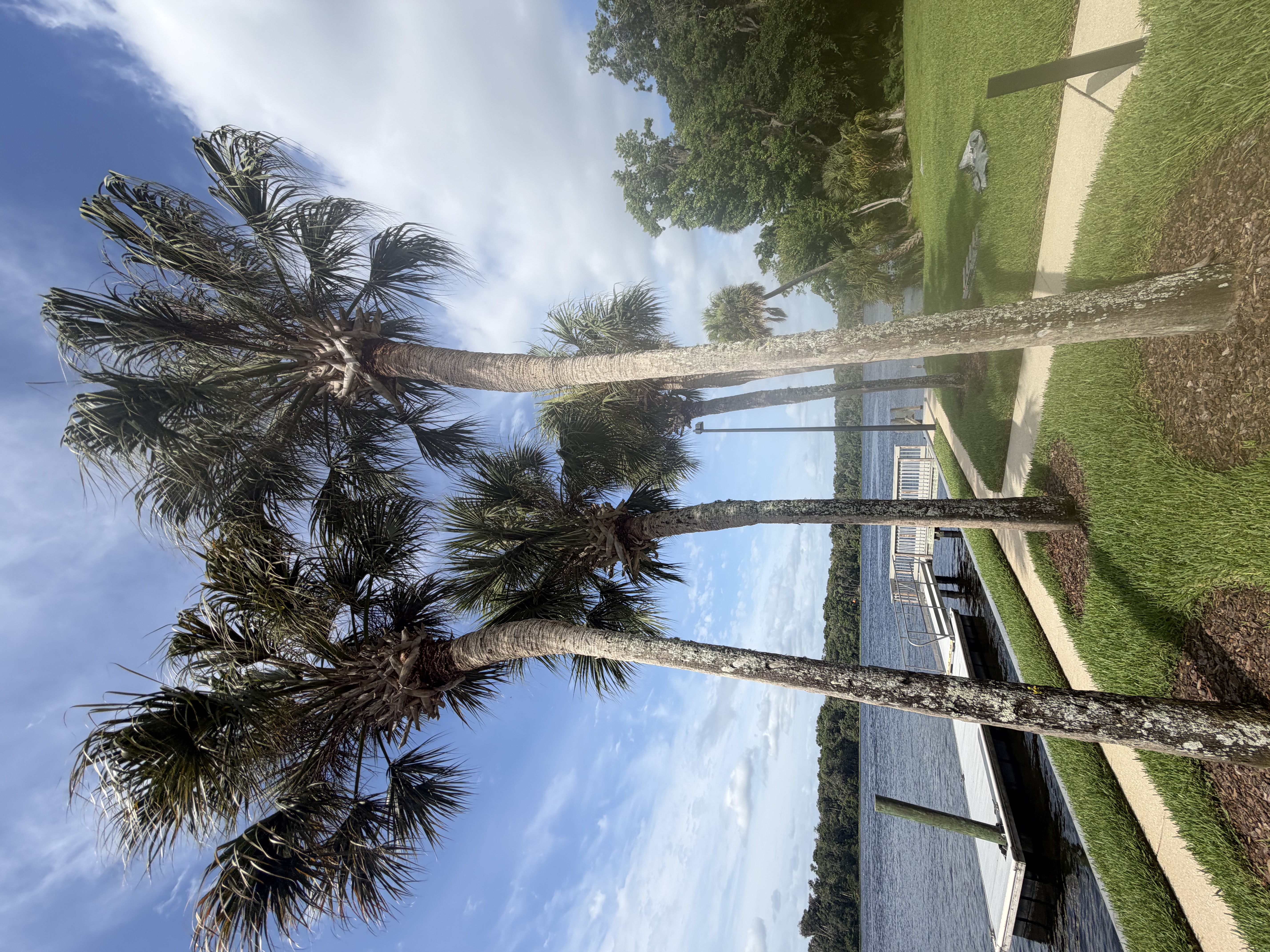 Organic mulch installation in Florida